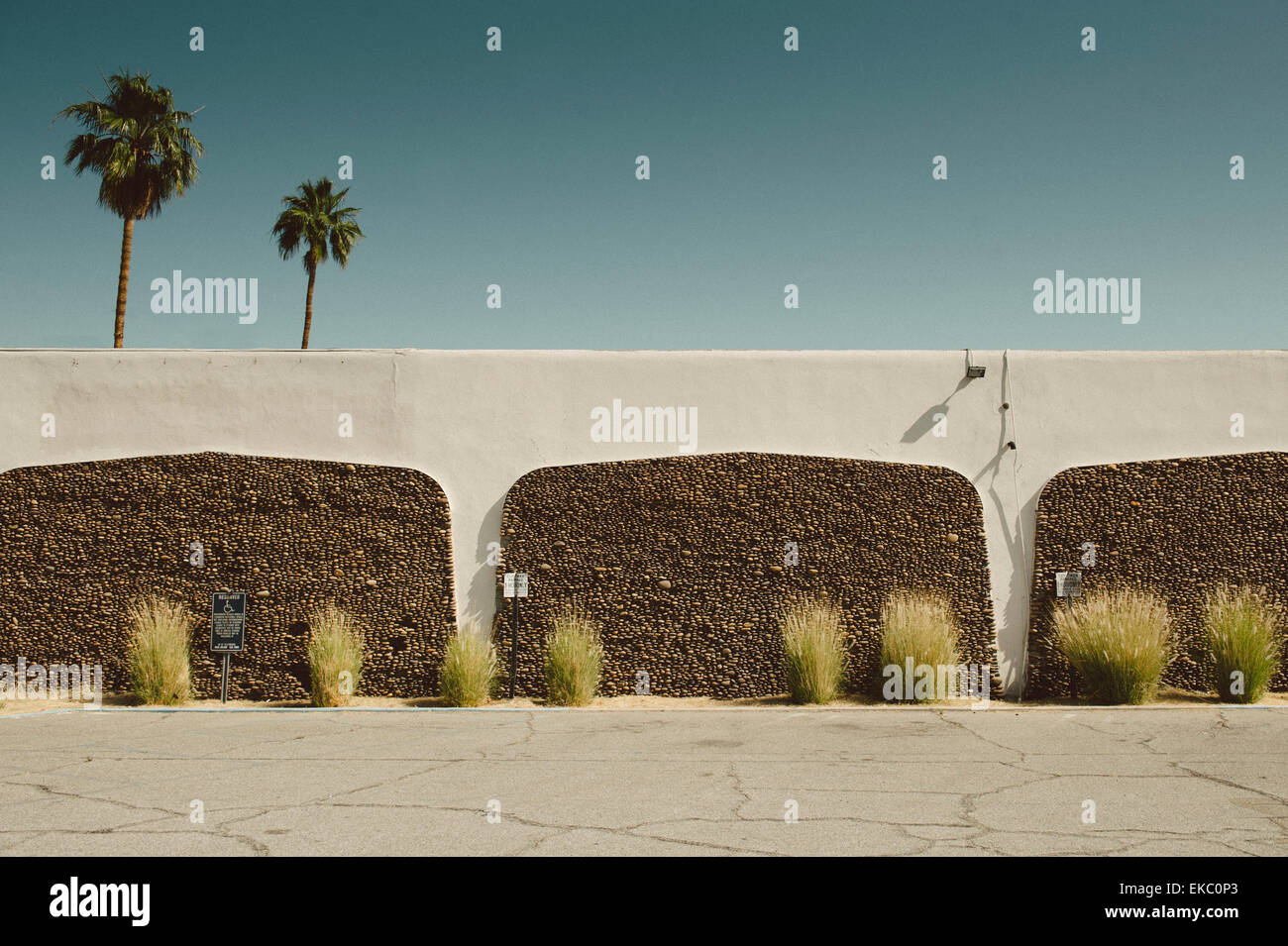 Beton Wand und Palmen Bäume, Palm Springs, Kalifornien, USA Stockfoto