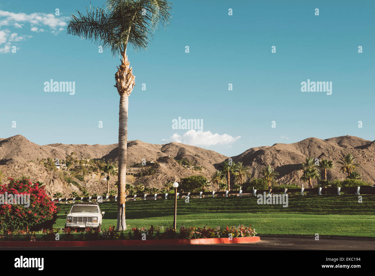 Blick auf Park und Berge, Palm Springs, Kalifornien, USA Stockfoto