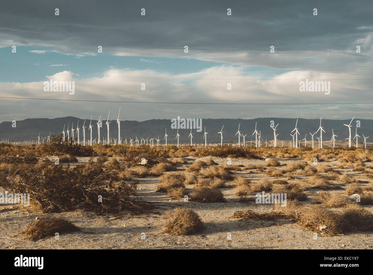 Blick auf Wüste Windpark, Palm Springs, Kalifornien, USA Stockfoto