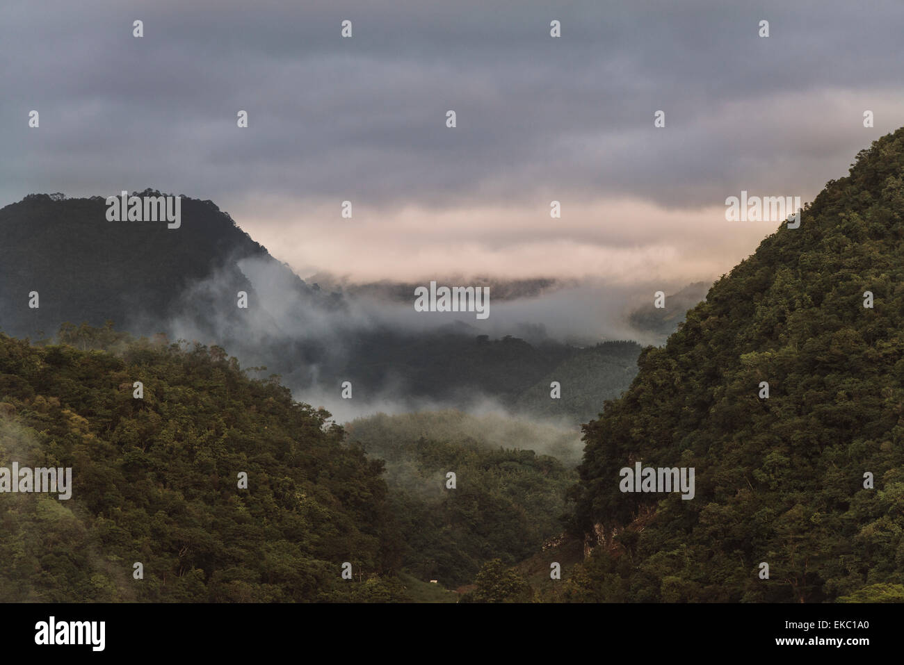 Blick auf Morgen Nebel und die Berge, umso, Alta Verapaz, Guatemala, Mittelamerika Stockfoto
