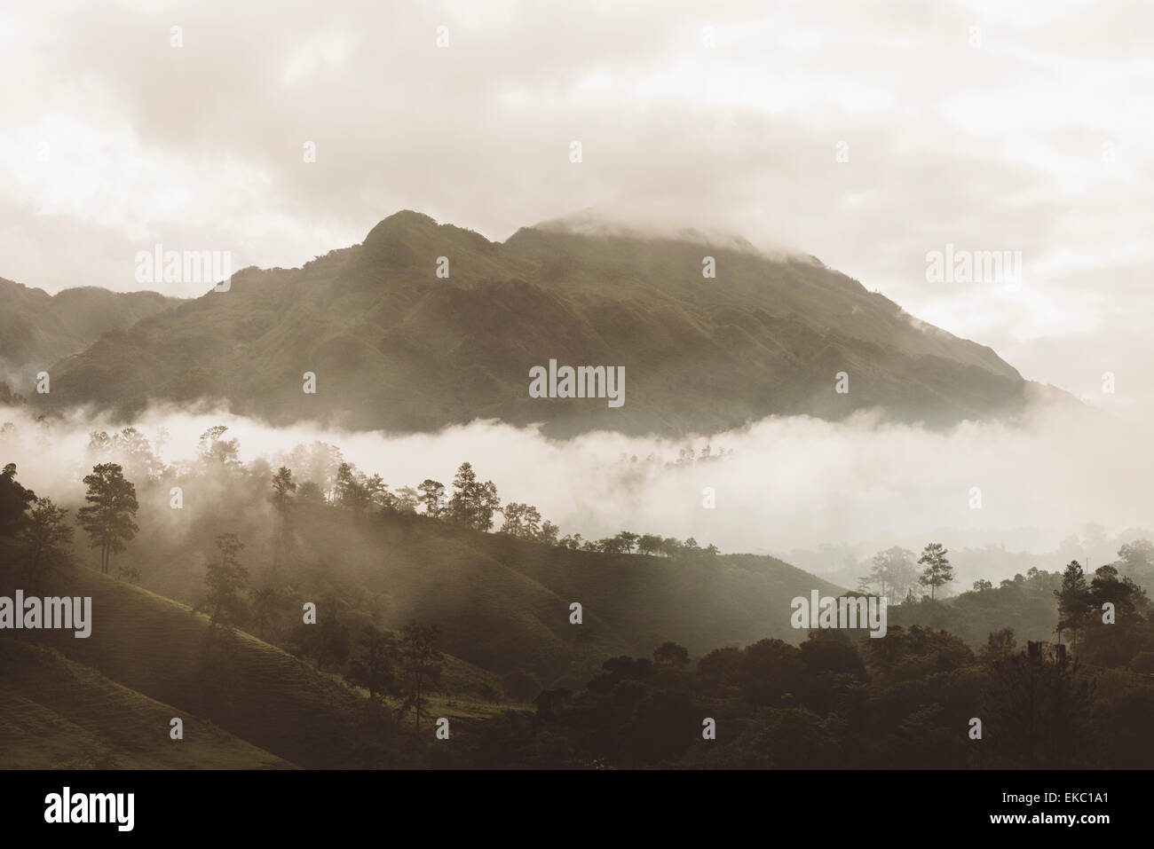 Ansicht der Morgennebel im Bergtal, umso, Alta Verapaz, Guatemala, Mittelamerika Stockfoto