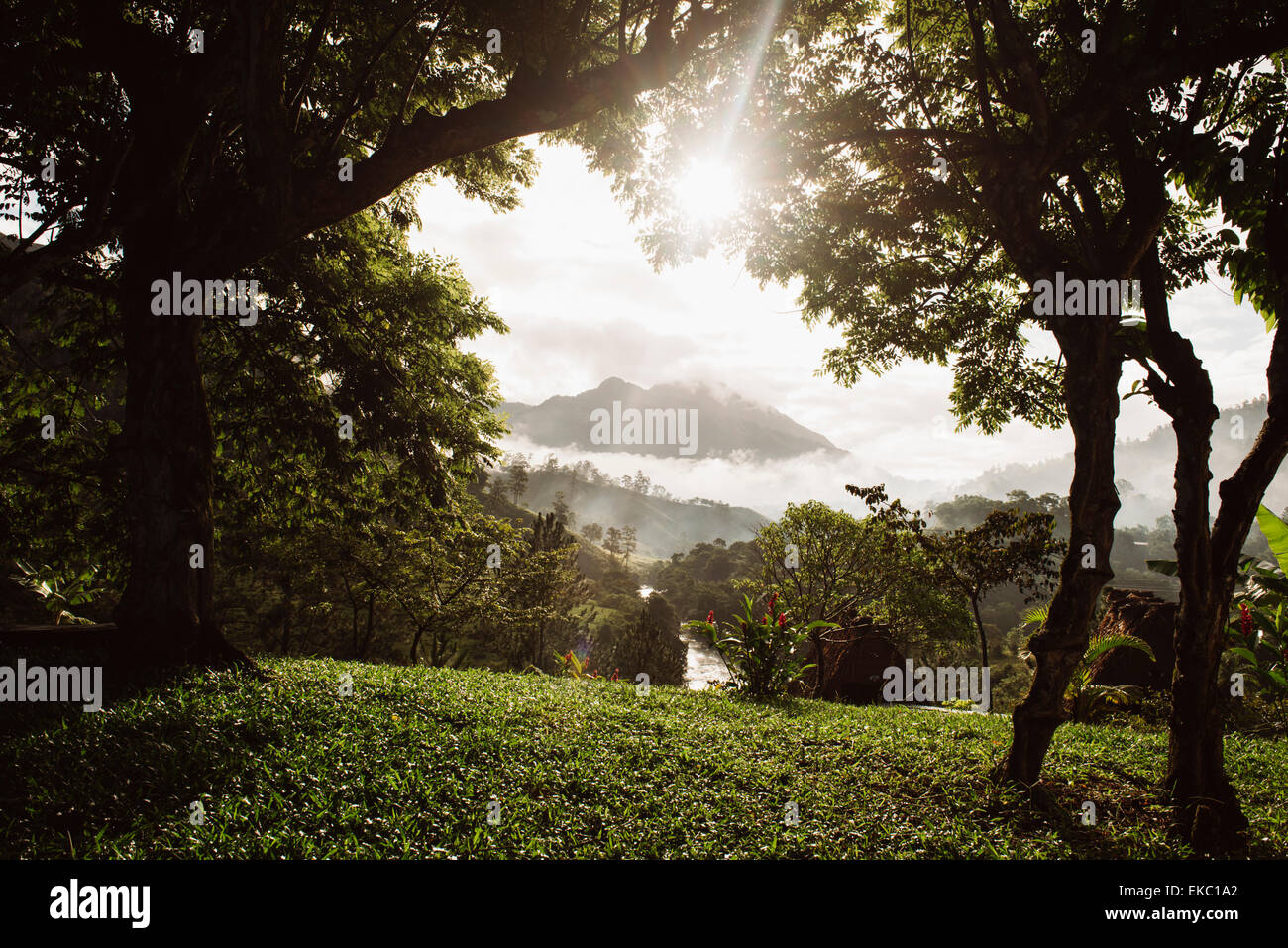 Ansicht der Morgensonne und neblige Tal, umso, Alta Verapaz, Guatemala, Mittelamerika Stockfoto
