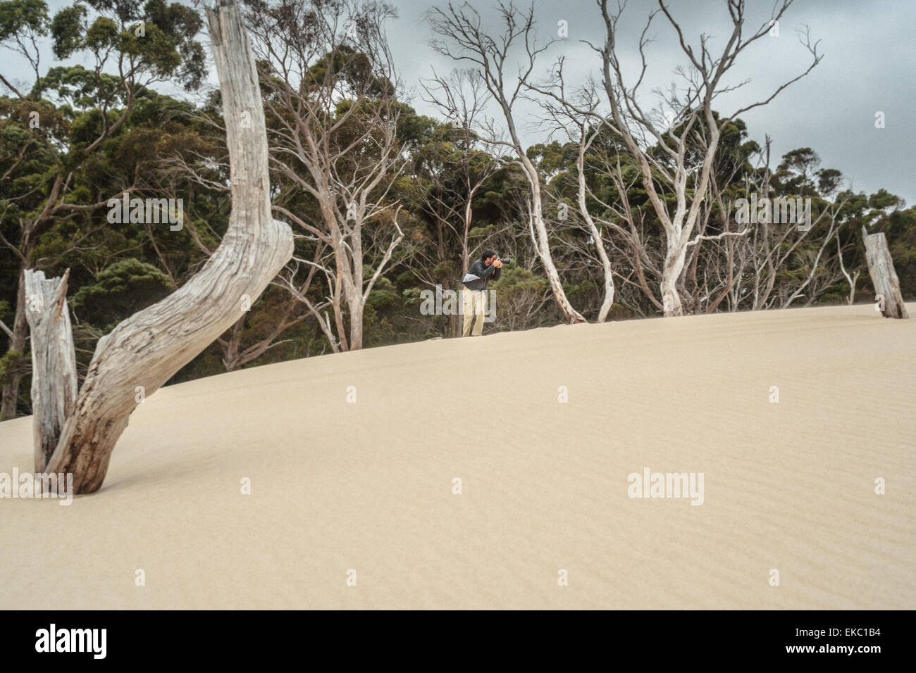 Fotografen fotografieren Sanddünen, Tasmanien Stockfoto