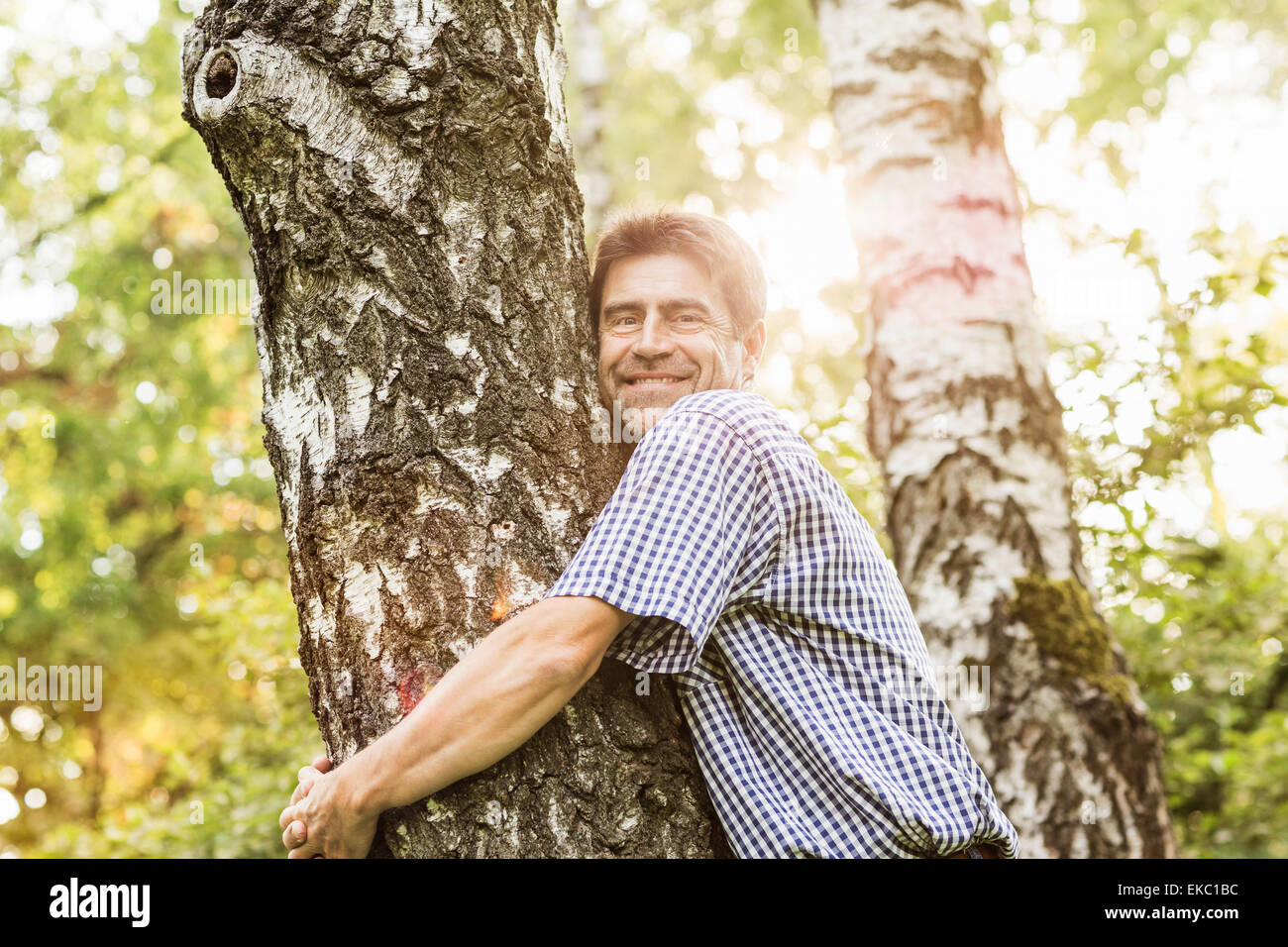 Reifer Mann umarmt Baum im Garten Stockfoto