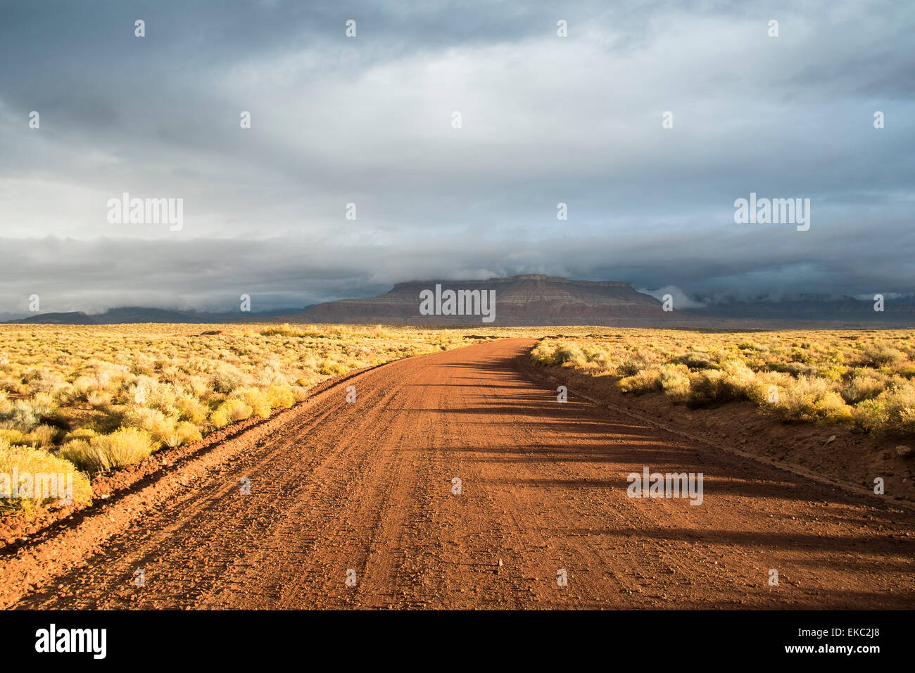 Trockene Landschaft, Jungfrau, Washington County, Utah, USA Stockfoto