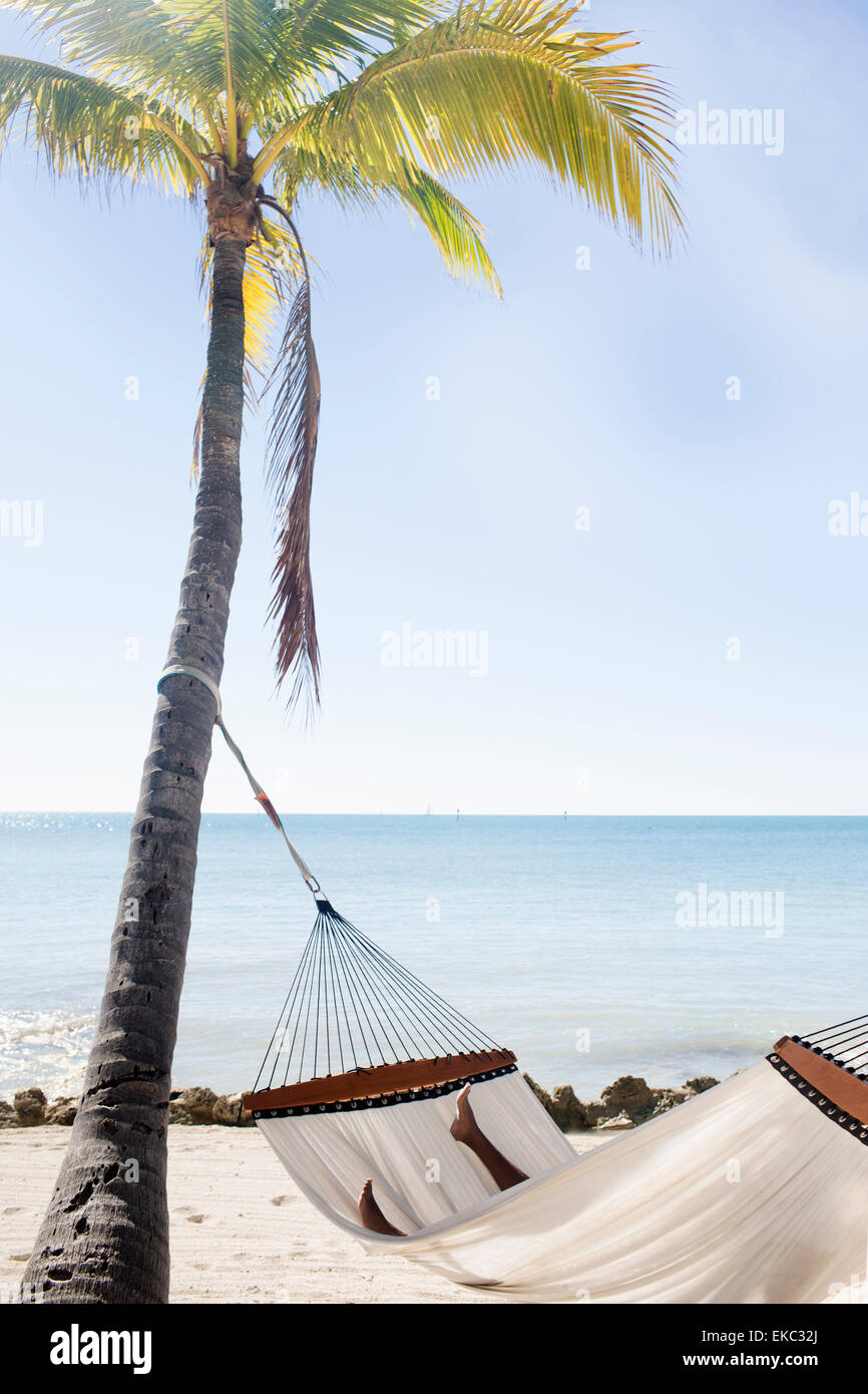 Hängematte am Sandstrand, Islamorada, Florida Keys, USA Stockfoto
