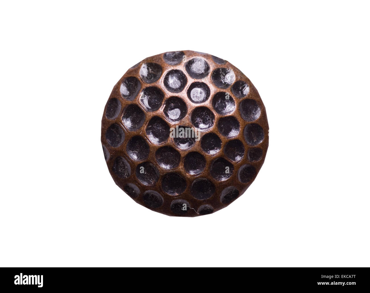 Luxus-Nagelkopf Stockfoto