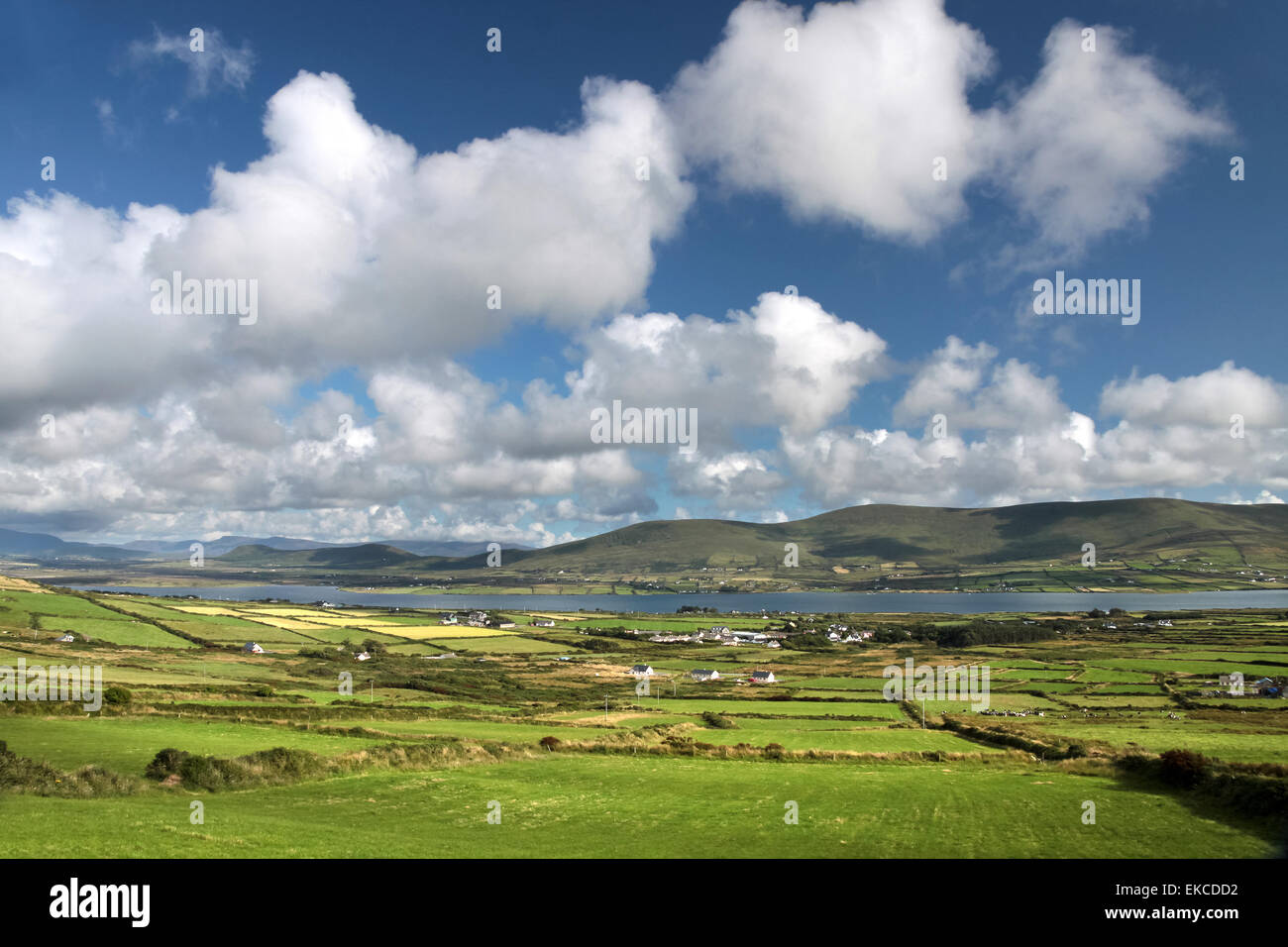 Scenic Auenlandschaft auf Valentia Island in County Kerry, Irland Stockfoto