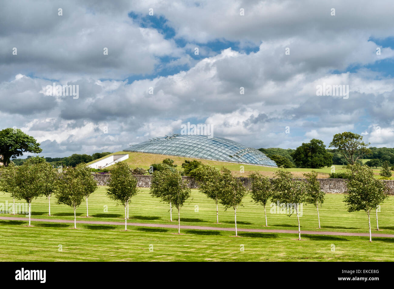 The Great Glasshouse im National Botanic Garden of Wales, Llanarthney, Wales, Großbritannien. Das Glasshouse wurde 1995 von Sir Norman Foster entworfen Stockfoto