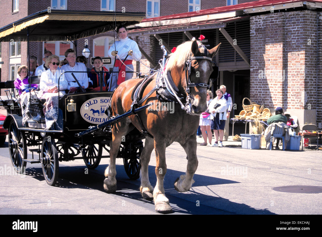 Old South Carriage Company bietet einstündige Führungen erzählt von einem lizenzierten Führer, Charleston, South Carolina, USA Stockfoto