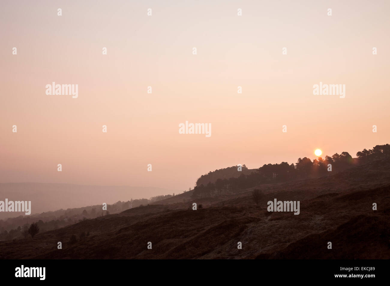 Sonnenaufgang über Bäume von Ilkley Moor aus weißen Brunnen Stockfoto