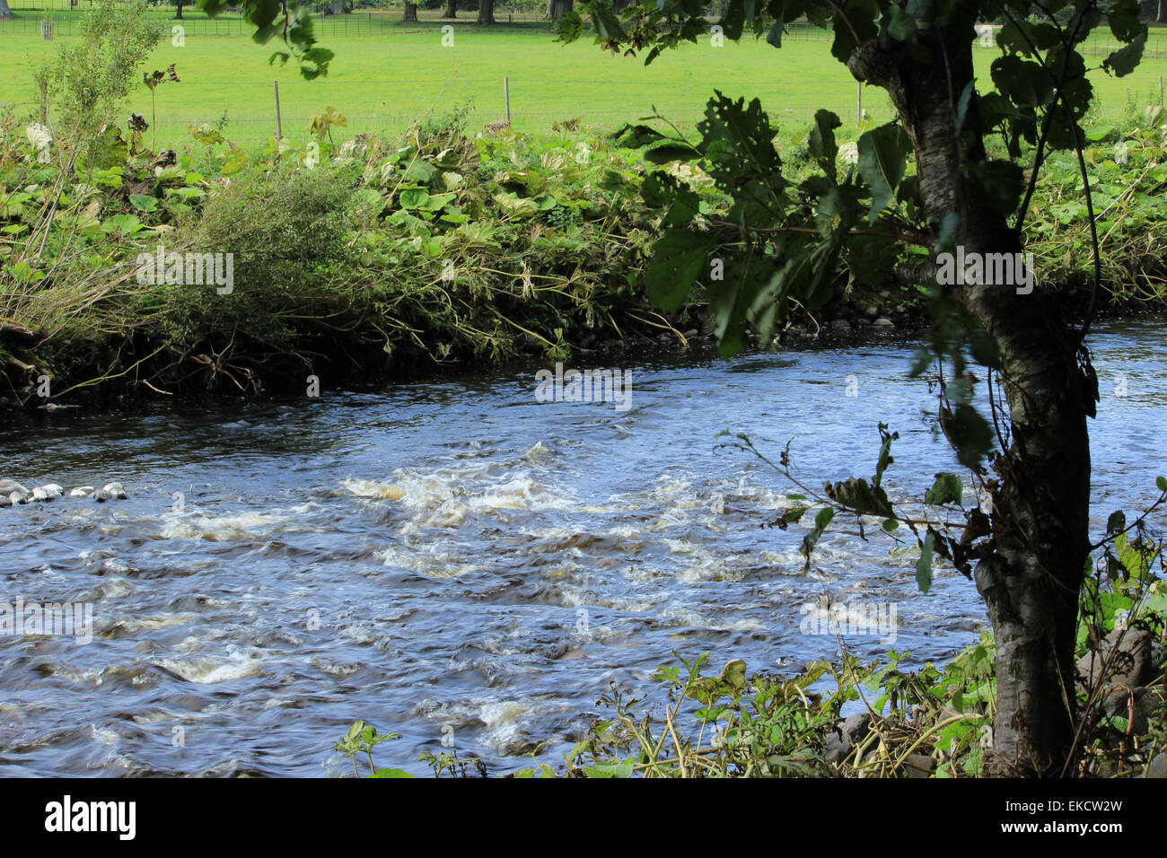 Schöne Stream Glenarm Schloss, Co.Antrim Stockfoto