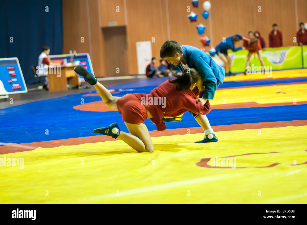 Orenburg Sambo Meisterschaft auf dem 75-Jahrestag der russischen Sambo Federation. 17.11.2013, Stadt Orenburg, südlichen Ural, Russland Stockfoto