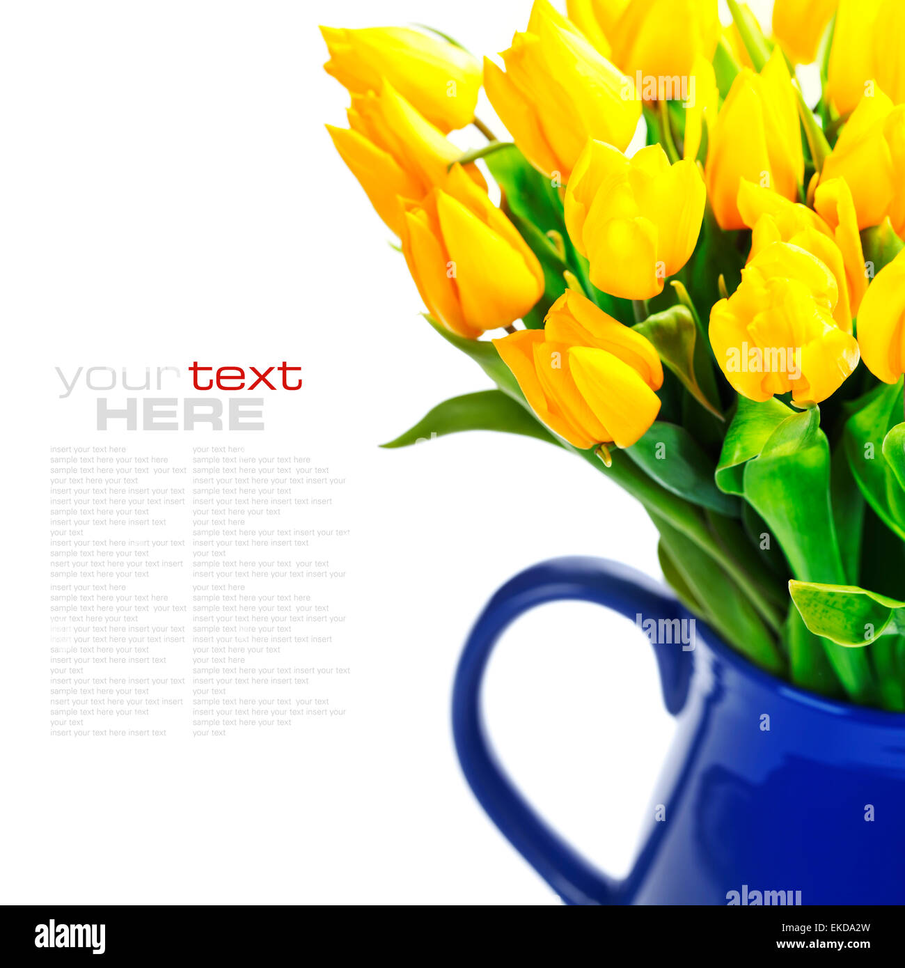 gelbe Tulpen Stockfoto