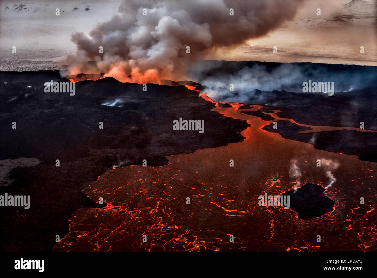 Vulkanausbruch auf den Holuhraun Riss in der Nähe der Bardarbunga Vulkan, Island. Stockfoto