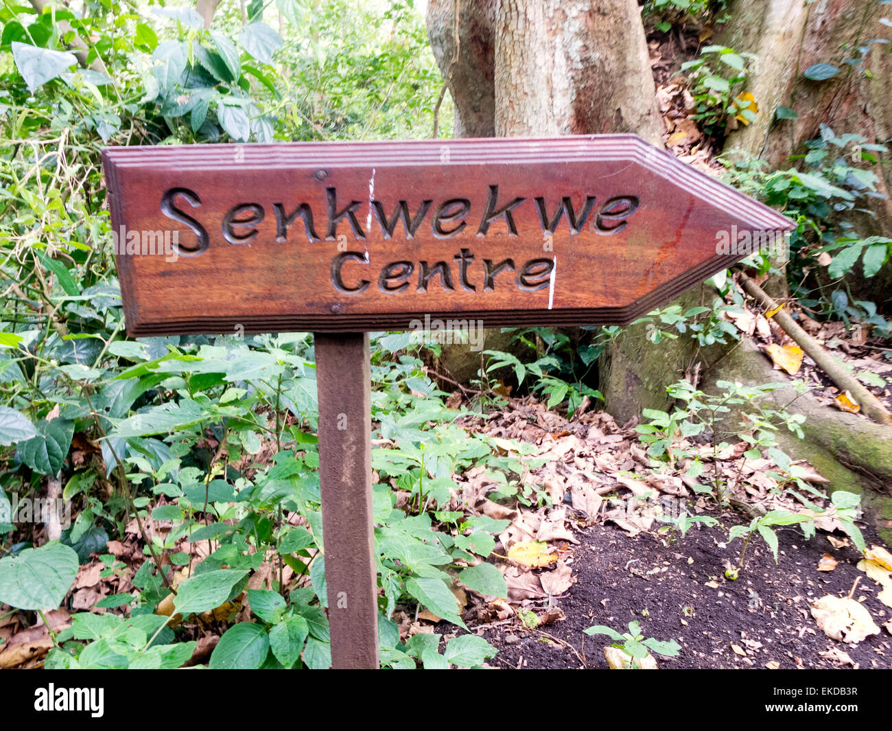 Ein Zeichen für die Senkwekwe Center Mountain Gorilla Waisenhaus, Virunga National Park in der Demokratischen Republik Kongo (DRC), Afrika Stockfoto