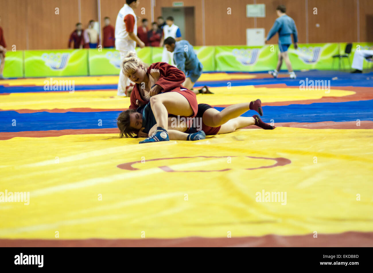 Orenburg Sambo Meisterschaft auf dem 75-Jahrestag der russischen Sambo Federation. 17.11.2013, Stadt Orenburg, südlichen Ural, Russland Stockfoto