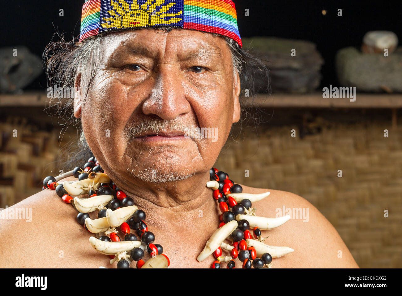 Im ecuadorianischen Amazonien Schamanen, die bei einem echten Ayahuasca Zeremonie Model Released Images, wie gesehen, im April 2015 Stockfoto