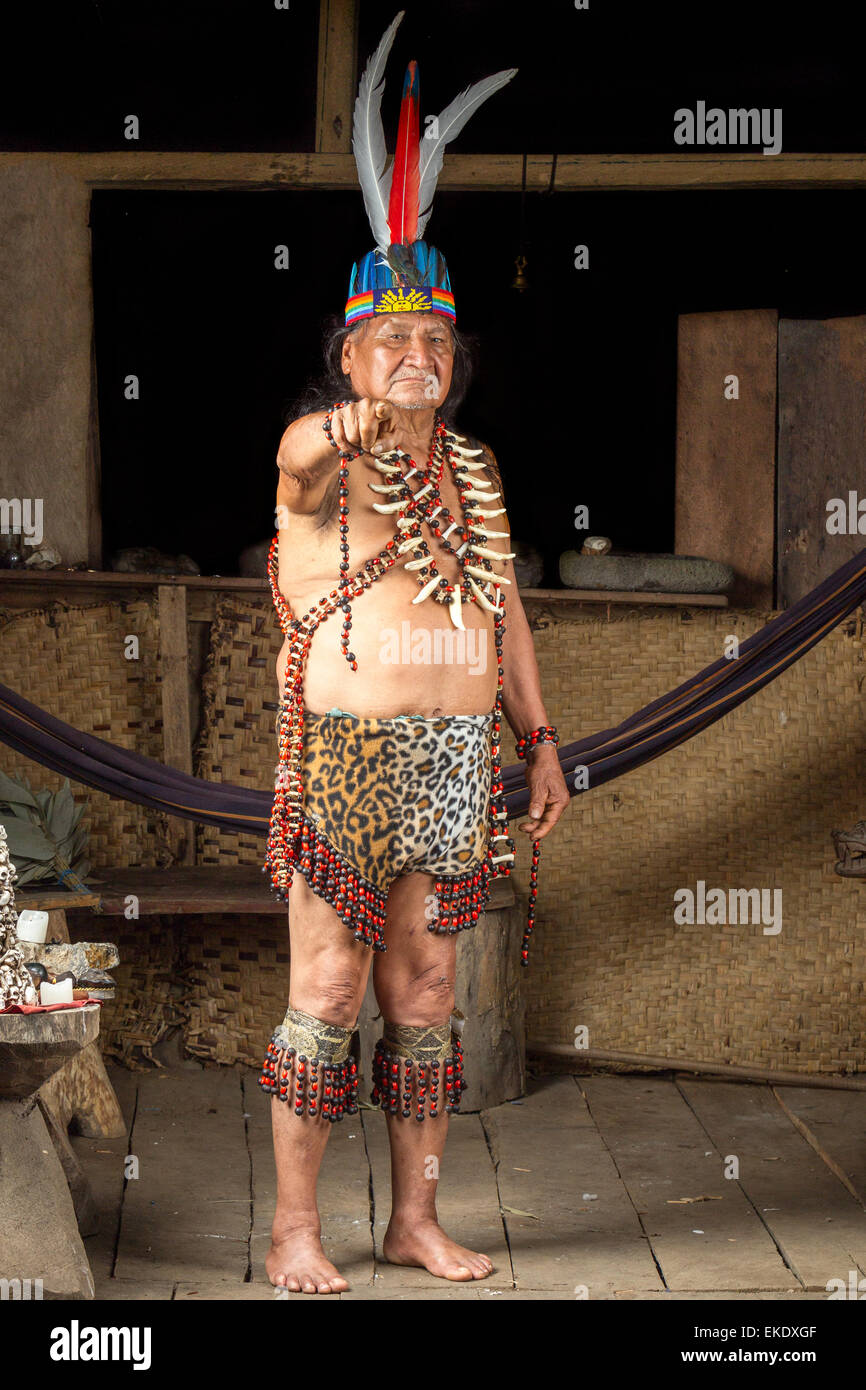 Im ecuadorianischen Amazonien Schamanen, die bei einem echten Ayahuasca Zeremonie Model Released Images, wie gesehen, im April 2015 Stockfoto