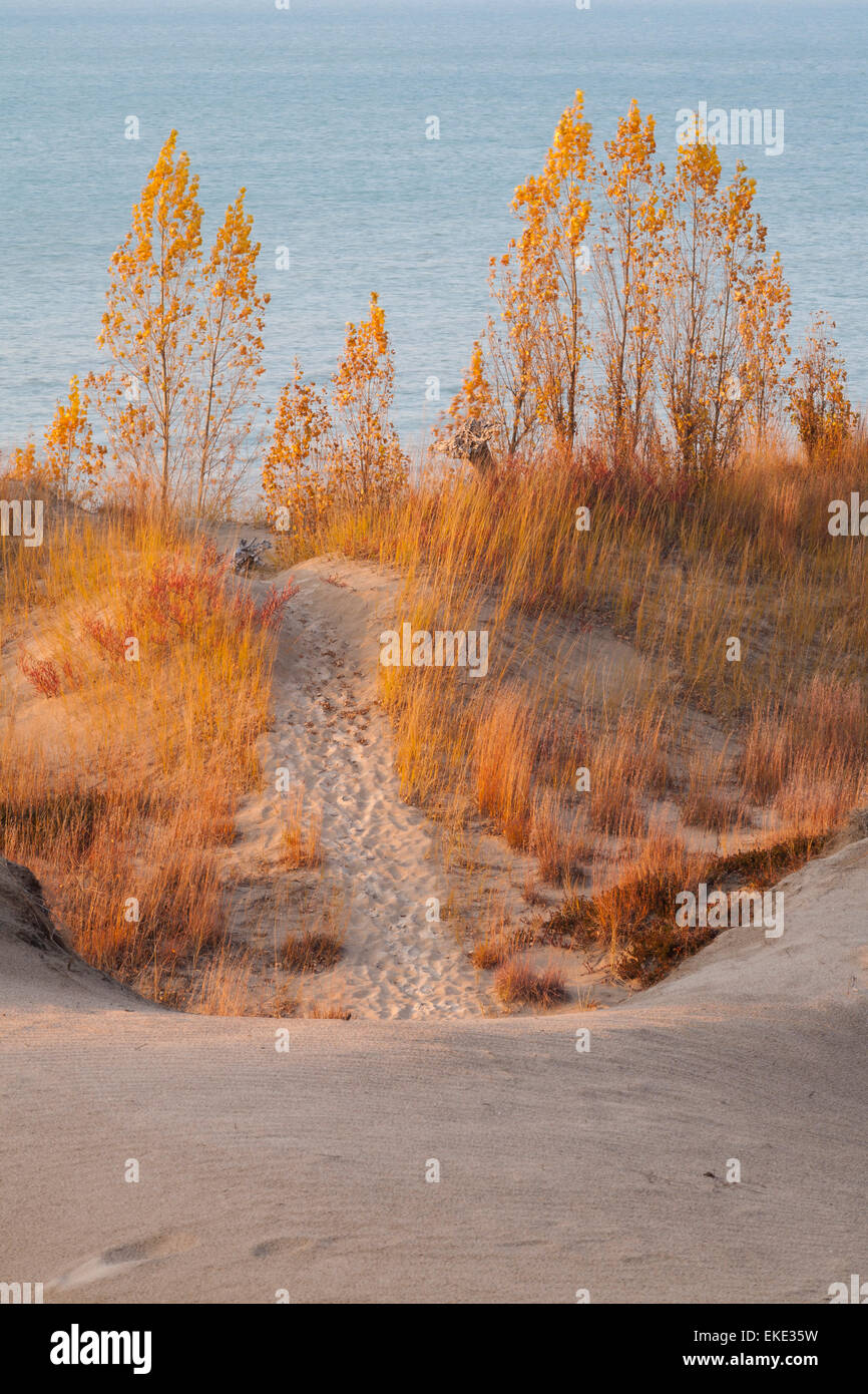 Ein Weg führt durch hügelige Sanddünen, Gräser und Bäume, die Anzeige ihrer Herbstfärbung. Fichtenwald Provincial Park, Ontario, Canad Stockfoto