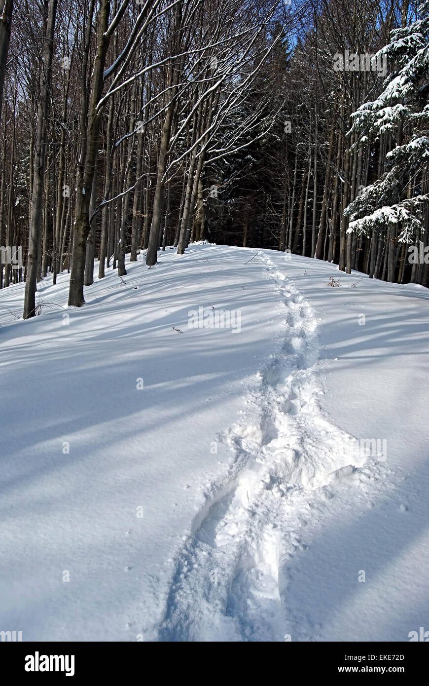 Berghügel mit Schneeschuh Schritte auf winter Stockfoto