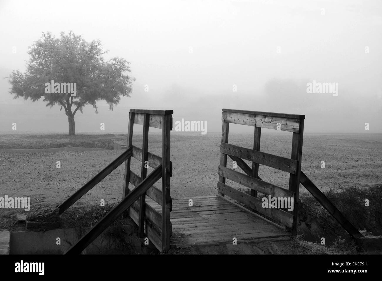 Abbildung des eine hölzerne Brücke im Nebel mit einem Baum im Hintergrund Stockfoto