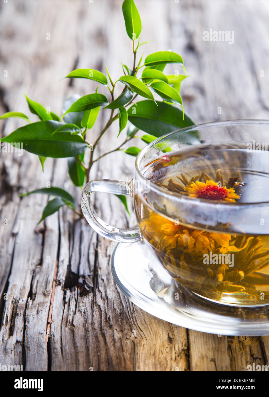 Transparente Tasse grüner Tee auf hölzernen Hintergrund Stockfoto