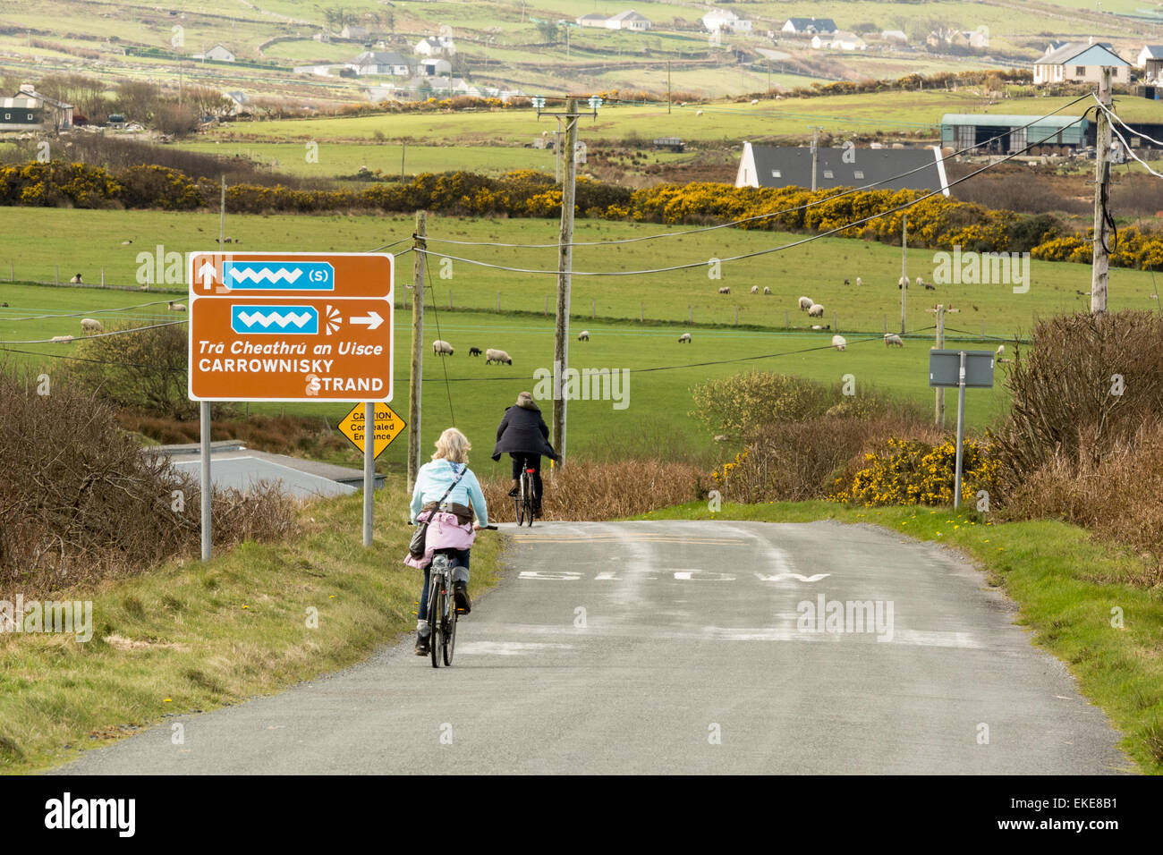 Straßen- und Touring Route entlang der wilden Atlantik Weg an der West Küste von Irland Stockfoto
