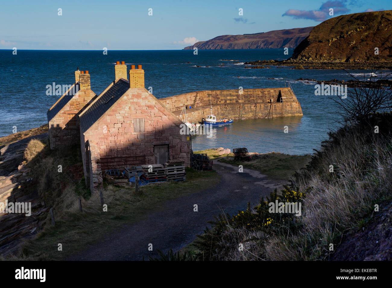 Die kleinen schottischen Fischerhafen in der Bucht an der Ostküste von Schottland in der Nähe von Dunbar. Stockfoto