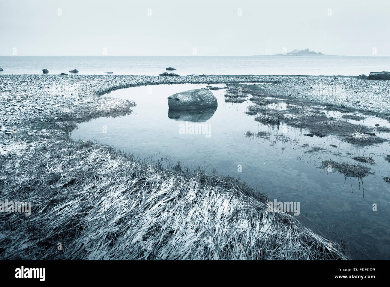 Chilkat Inlet Beach in Alaska im Nebel nach einer leichten Schnee Stockfoto