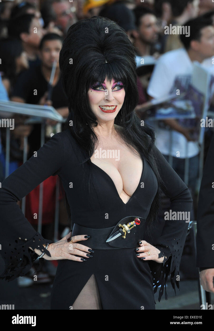 Cassandra peterson elvira Fotos und Bildmaterial in hoher Auflösung