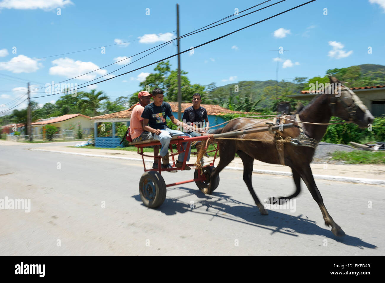 VINALES, Kuba - 20. Mai 2011: Traditionelle Pferd und Buggy befördert Passagiere auf einer leeren Straße am Rande der Stadt. Stockfoto
