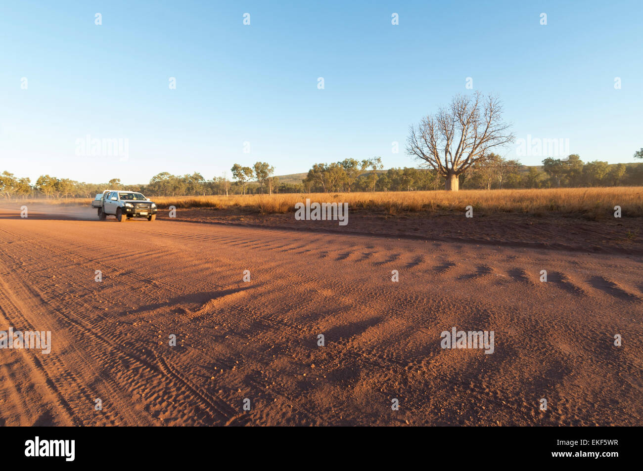 Roter Staub und Riffelung auf der Gibb River Road, Kimberley, Outback, Western Australia, WA, Australien Stockfoto