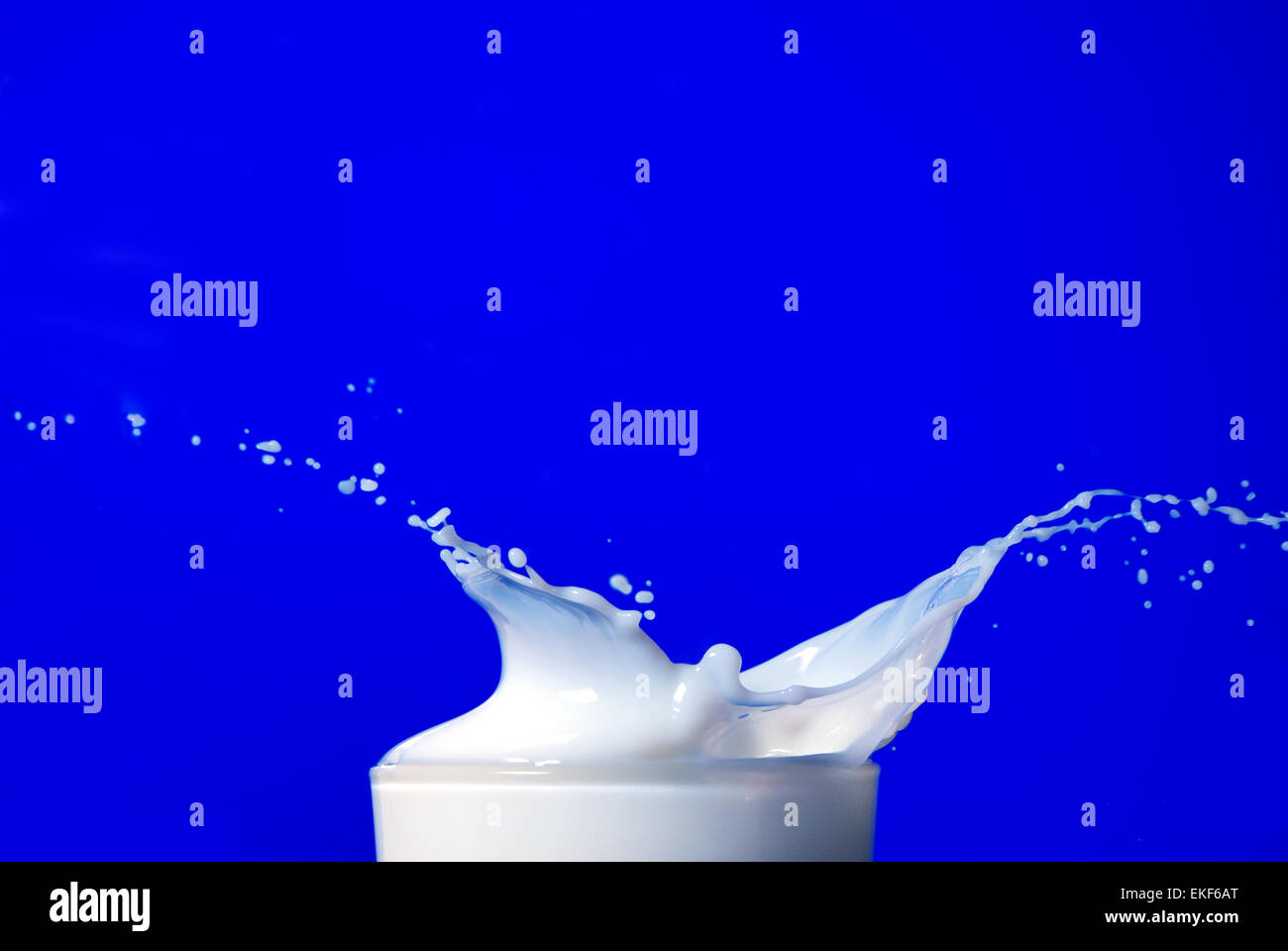 Milch Spritzen isoliert auf blau Stockfoto