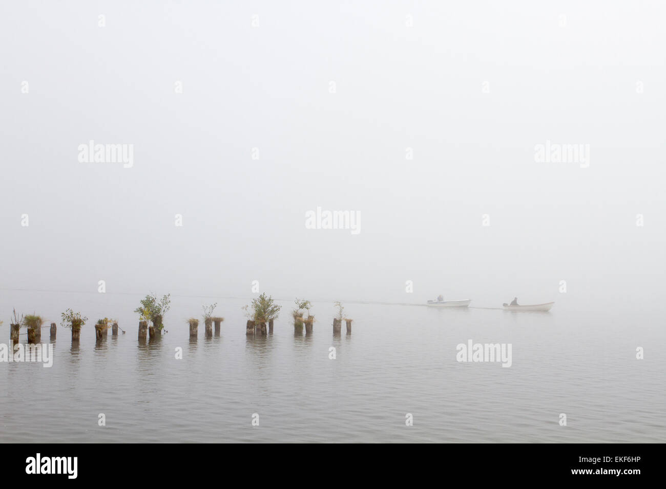 Bootfahren im Nebel Stockfoto
