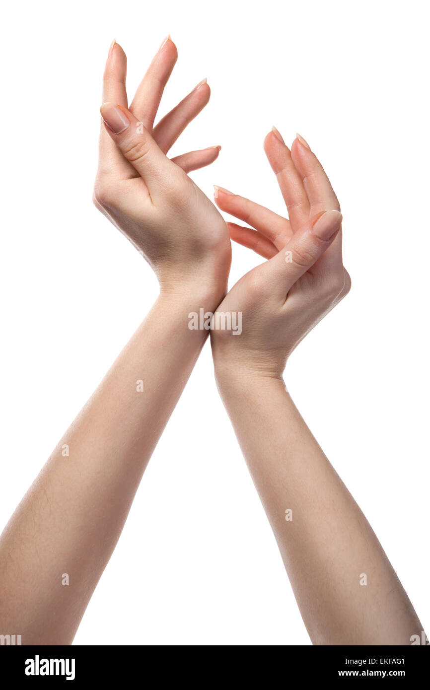 Abbildung von weiblichen Händen isoliert auf weiss Stockfoto