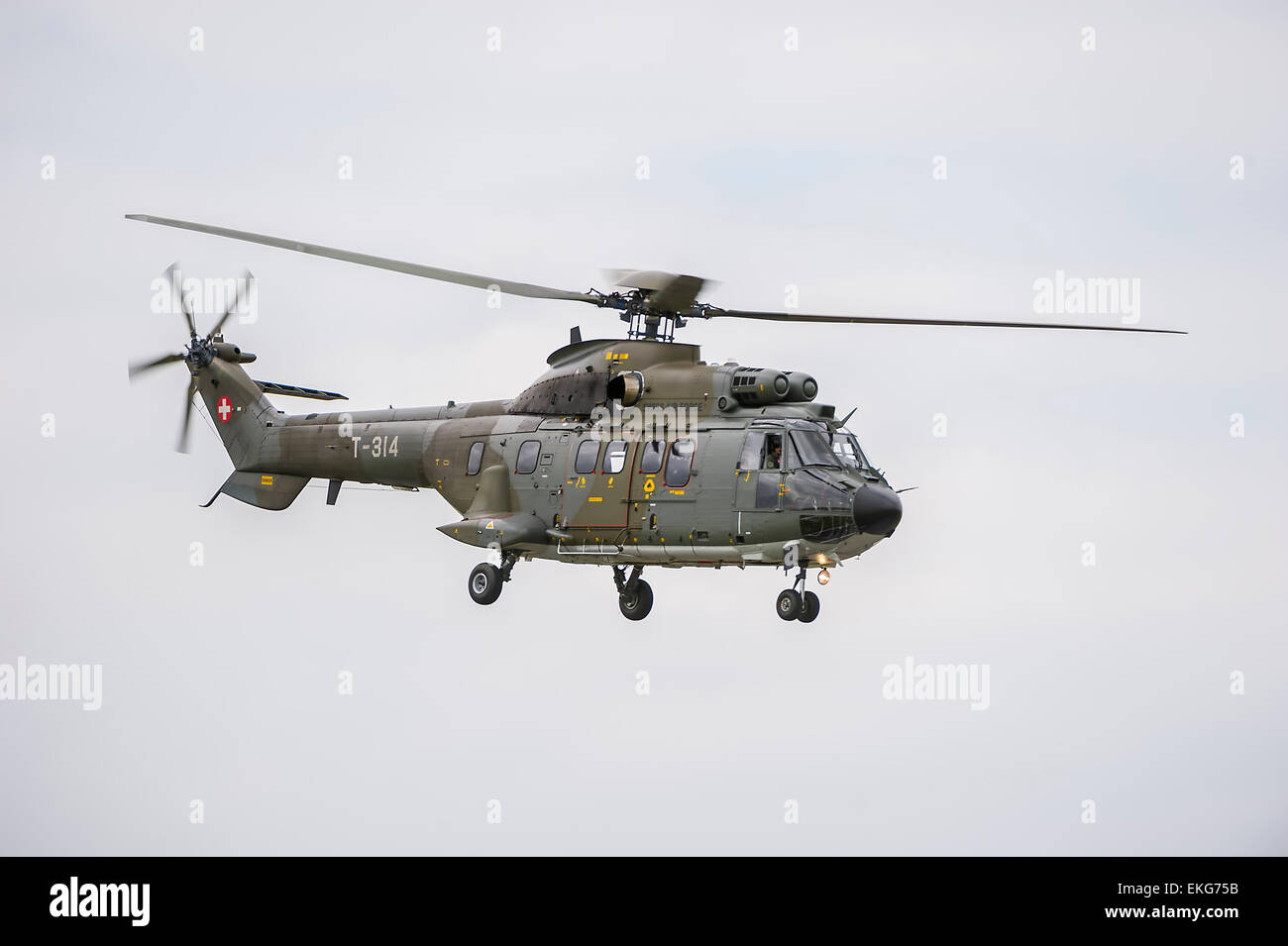 Swiss Air Force AS332M1 Super-Puma-Transport-Hubschrauber Stockfoto