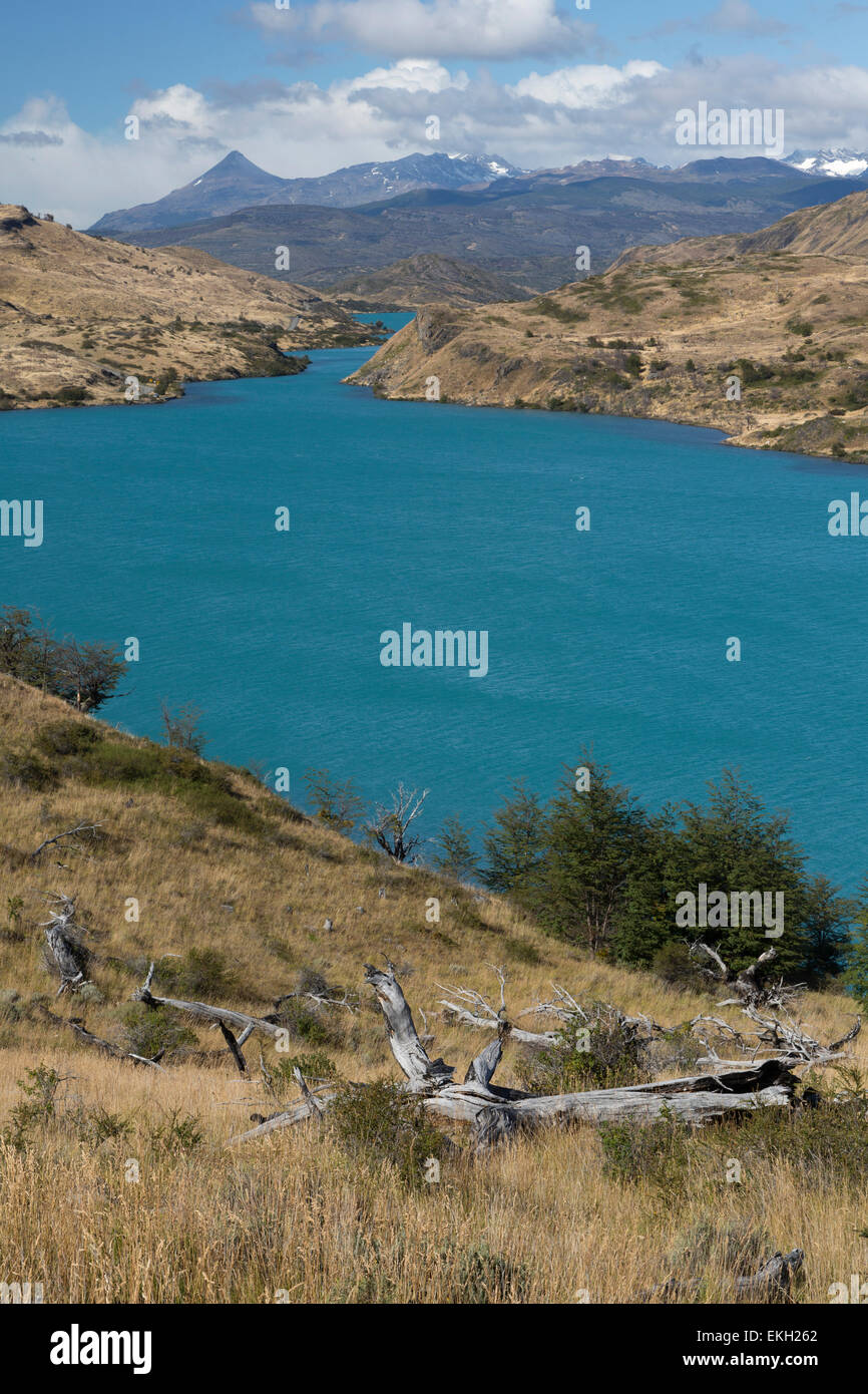 Lago Pehoe, der See Pehoe, Torres del Paine Nationalpark-Patagonien-Chile Stockfoto