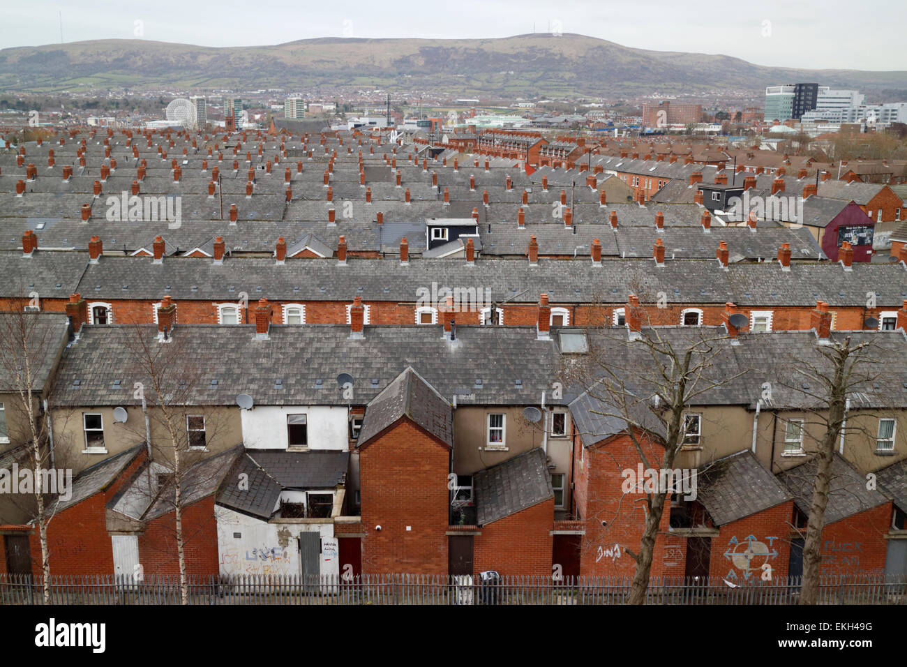 Blick über alten Bereich gefüllt mit viktorianischen Reihenhäusern South Belfast Nordirland ni Stockfoto