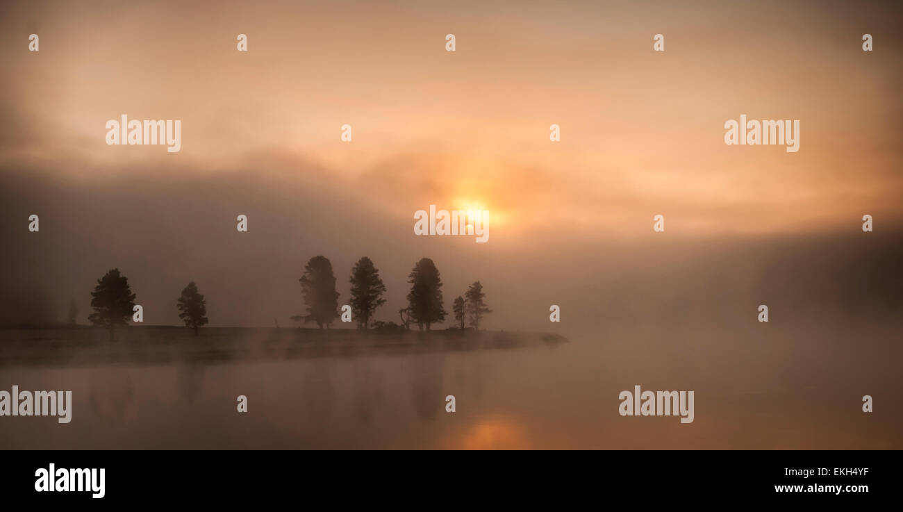 Am frühen Morgennebel auf den Yellowstone River, Wyoming Stockfoto