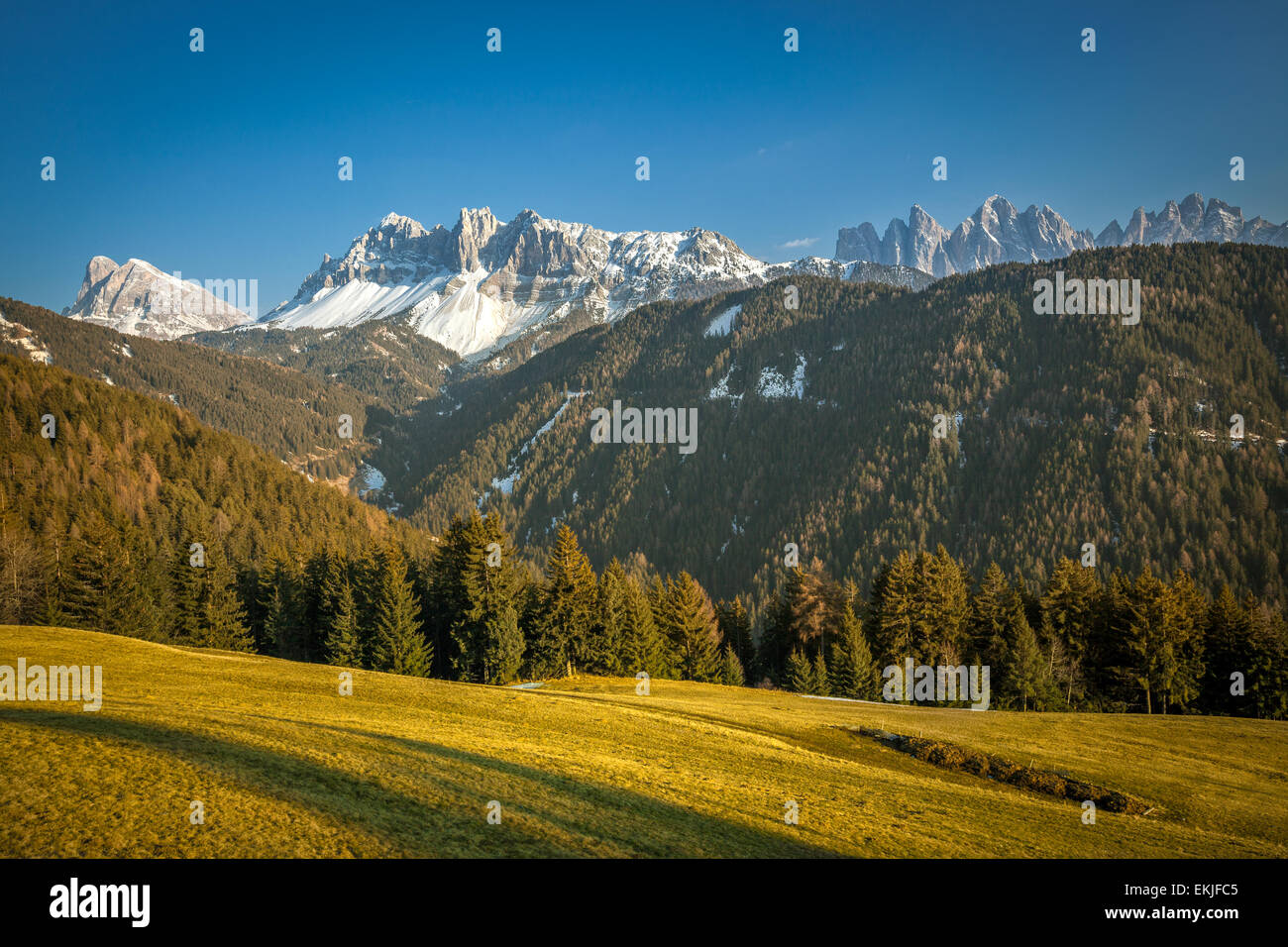 Dolomiten (Dolomiti) betrachtet aus Passo Delle Erbe, in Südtirol, Trentino Alto Adige, Norther Italien Stockfoto