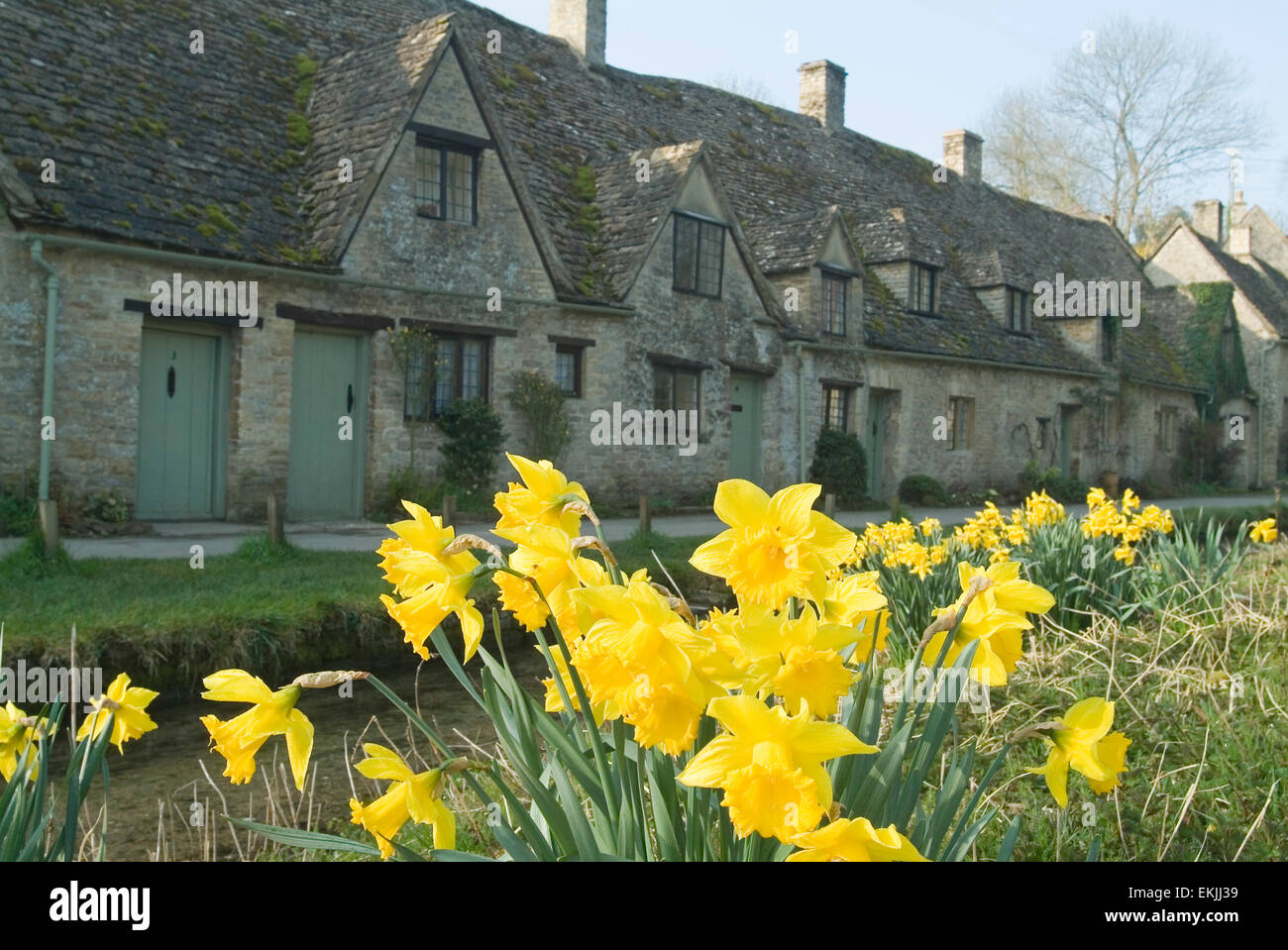 Arlington Row und Narzissen in Bibury, Gloucestershire, Cotswolds, England, Großbritannien, Europa Stockfoto