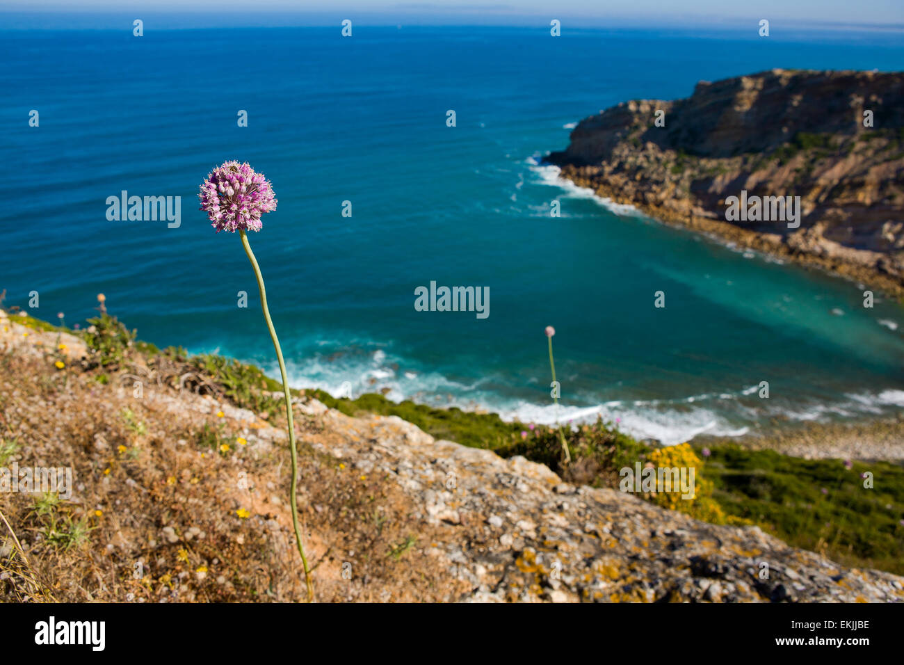 Grüne Felder in der Nähe von Espichel Kap mit dem Atlantischen Ozean in der Landschaft, Setubal, Portugal Stockfoto