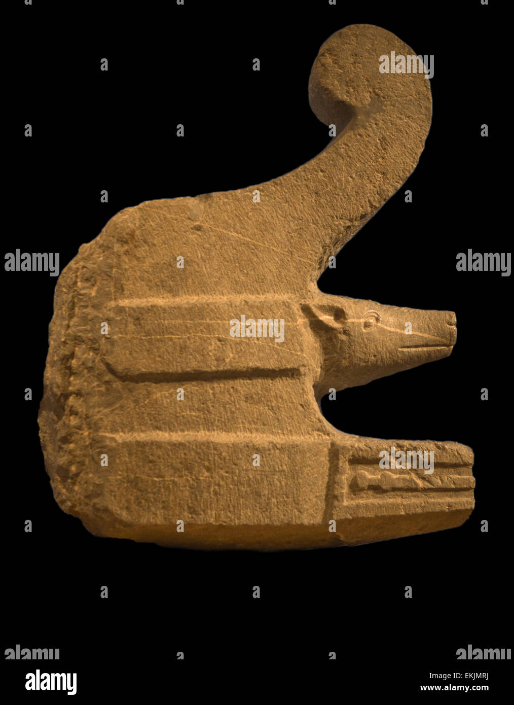 Römische rituellen Stein Bug über schwarze Backgorund, gefunden in Córdoba, Andalusien, Spanien Stockfoto