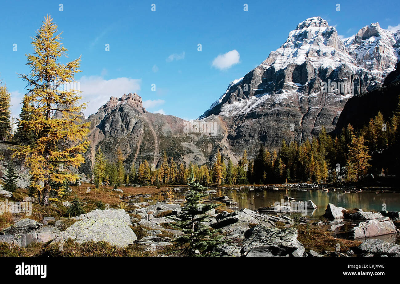 Mount Huber und Opabin Plateau, Yoho Nationalpark, Britisch-Kolumbien, Kanada Stockfoto