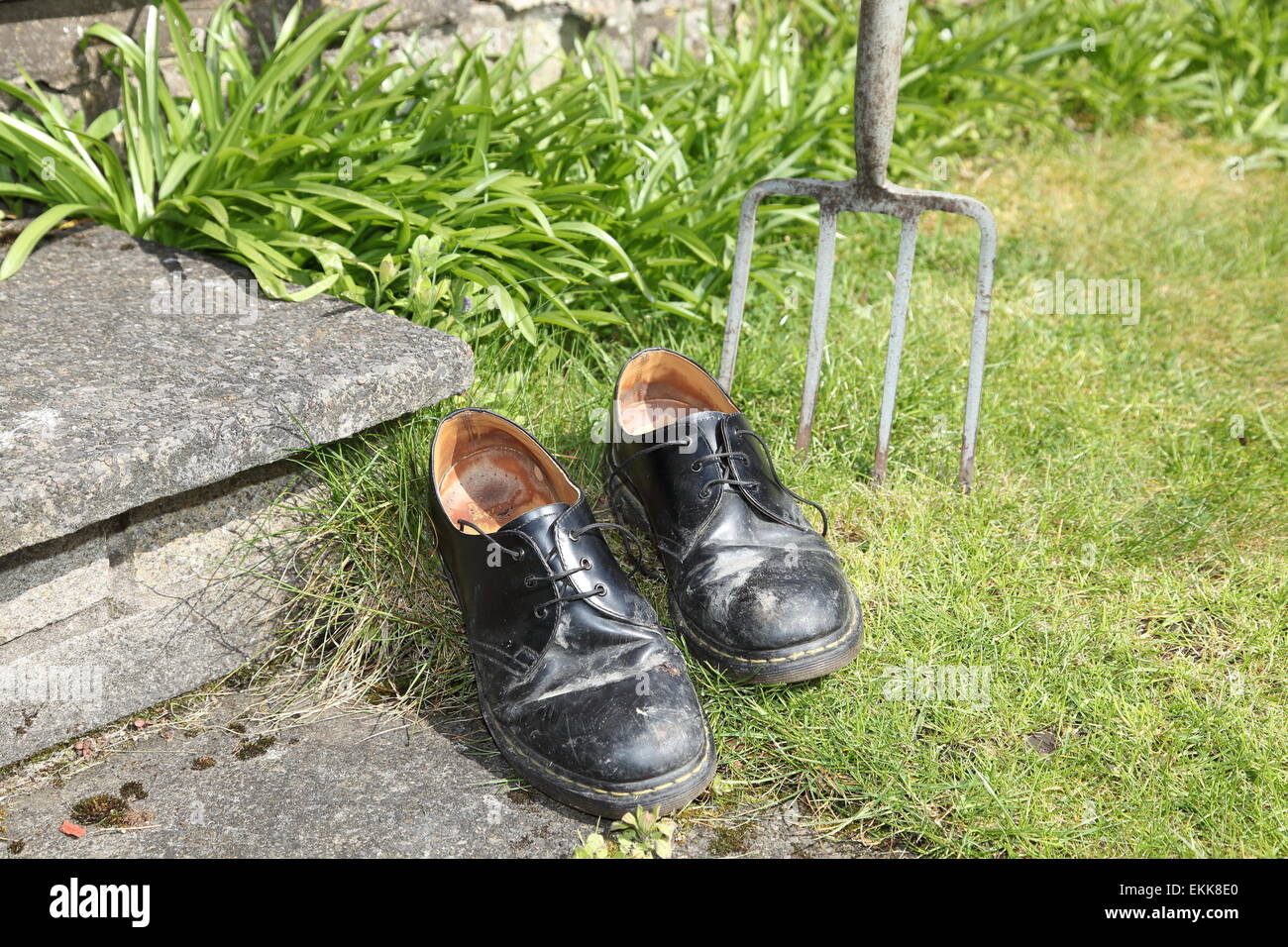 Vier Paare der schwarze Doktor Marten Schuhe (Halbschuhe) Stockfoto