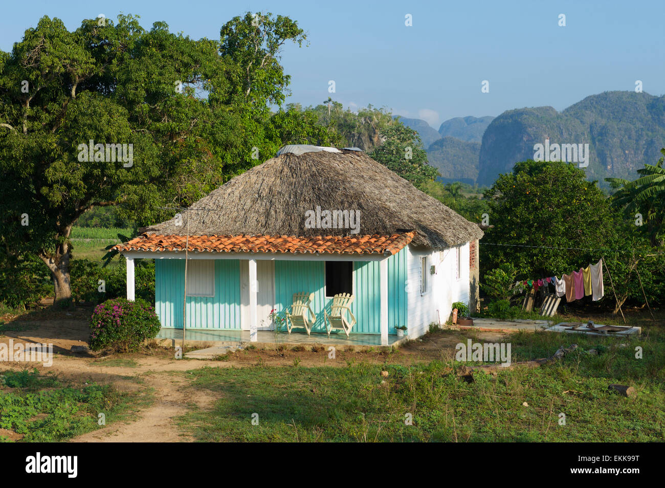 Traditionelle kubanische Landhaus liegt auf einem grünen Grundstück mit einem Hintergrund der dramatischen Berg Geologie in Vinales, Kuba Stockfoto