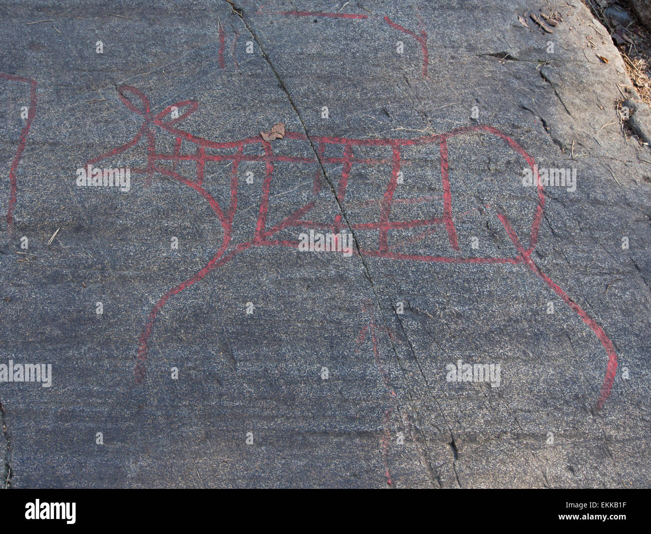 Norwegische Felszeichnungen oder Felsgravuren, angereichert mit roter Farbe, wahrscheinlich Elch, Oslo Norwegen Stockfoto