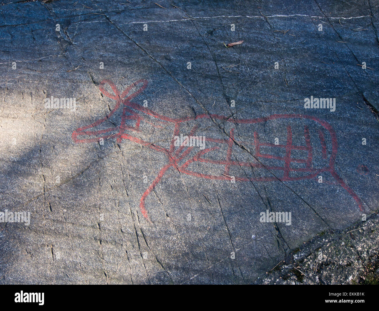 Norwegische Felszeichnungen oder Felsgravuren, verstärkt mit roter Farbe, Elch Figur, Oslo Norwegen Stockfoto