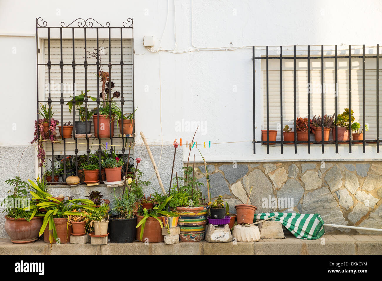 Weiß getünchte Fassade mit vielen Blumentöpfen, andalusischen Szene Stockfoto